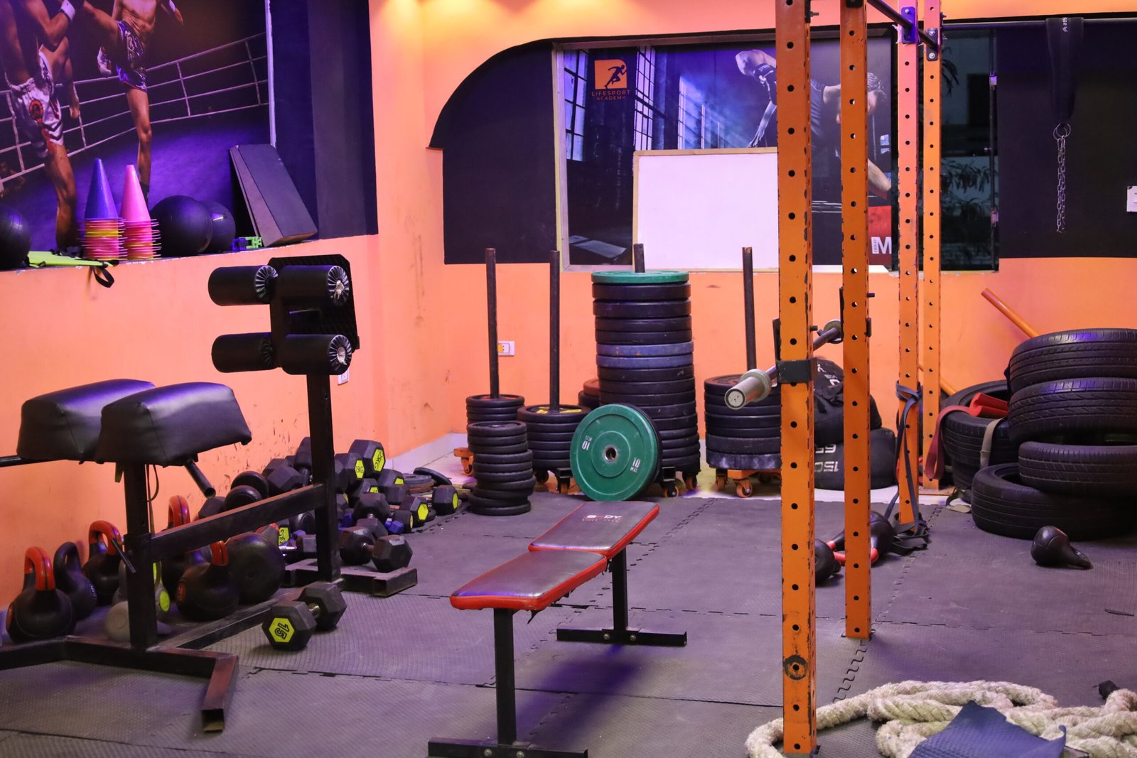 لايف سبورتس أكاديمي - Image 3