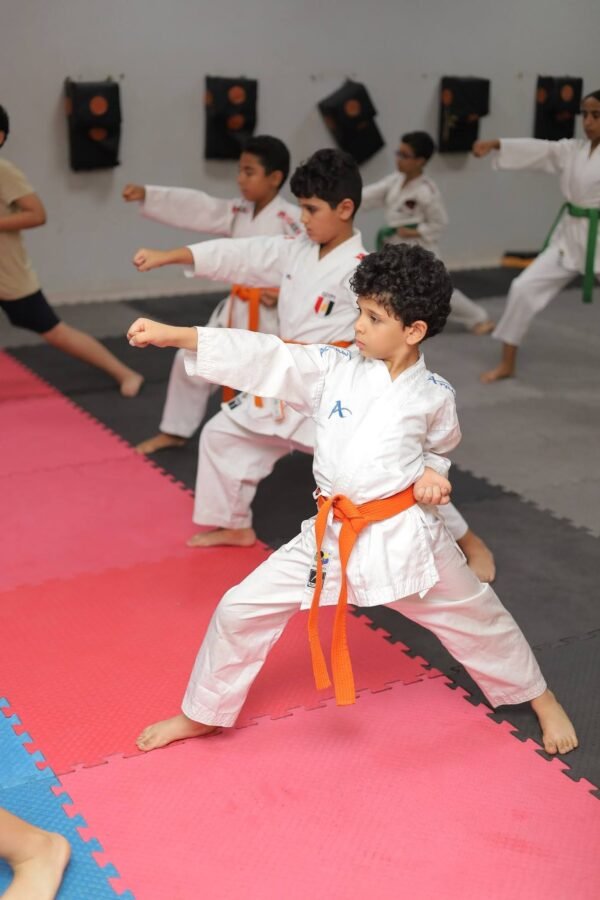 Perfect Sports Academy - Image 4